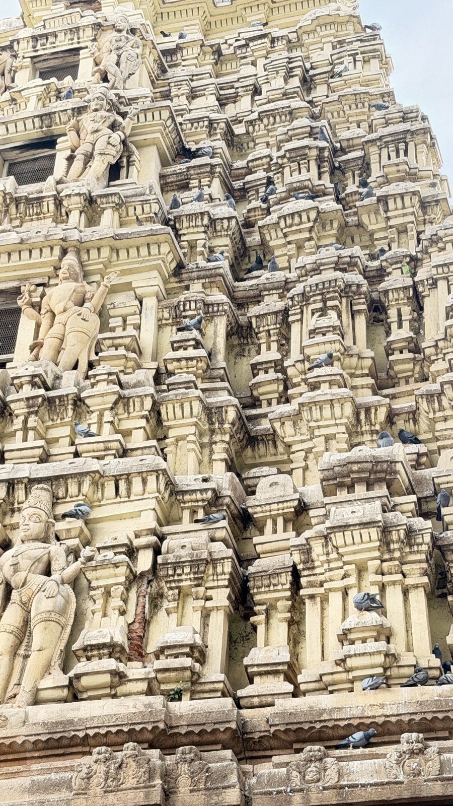 A close view of a temple tower's tiers of pale carved figures and miniature shrines, pigeons and a single bright green parakeet perched among the stone.