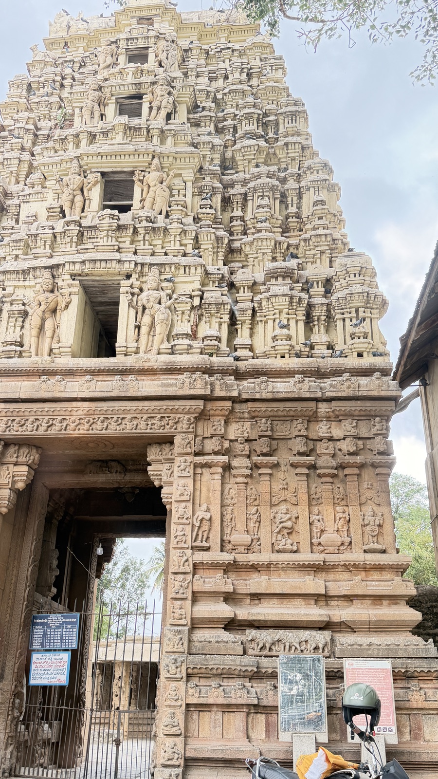 A tall South Indian temple gopuram of tiered, carved sandstone rising above a stone gateway, pigeons along its ledges, a cloudy morning sky behind.